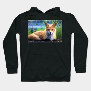 Beautiful Red Fox Portrait From Watercolor Hoodie